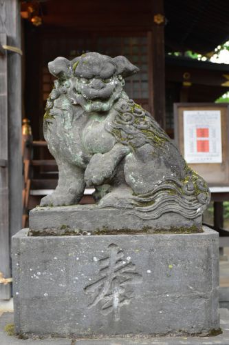 春日神社の狛犬達