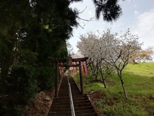 今熊野神社の例大祭と明るい玉