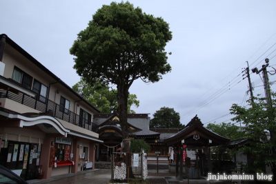 天御中主神社(鹿児島市宇宿)