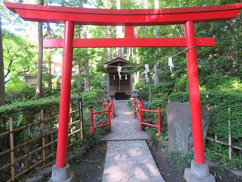 国分寺　お鷹の道　「真姿の池」湧水群
