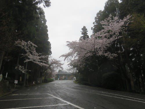 播州清水寺(2019年4月14日参拝)
