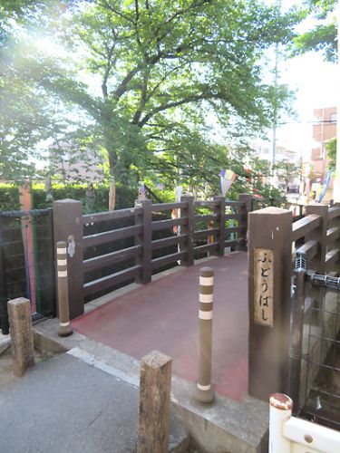 国分寺 不動橋の鯉のぼり