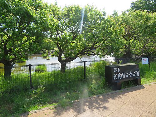都立武蔵国分寺公園