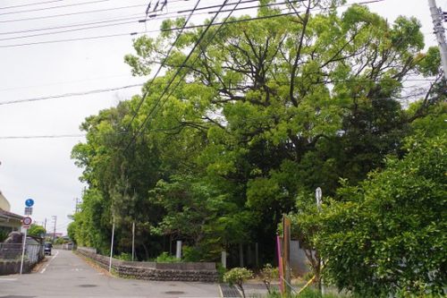 真星神社(星の宮)新居浜市