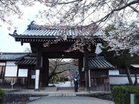 憧れの飛鳥路の、憧れの「橘寺」の御朱印