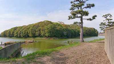 仲哀天皇陵(藤井寺市) ・立派な濠を持つ古市古墳群を構成する前方後円墳