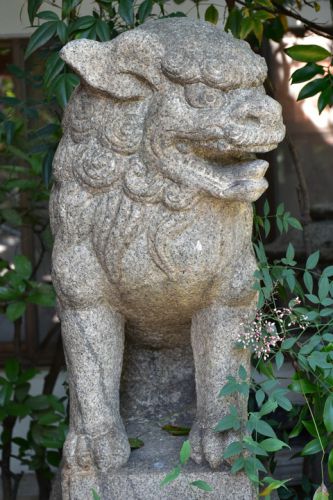 一宮神社の狛犬達