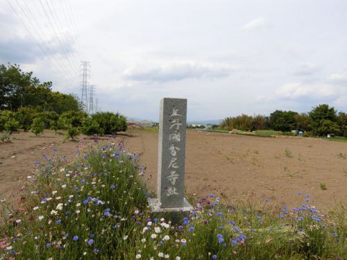 2019/5/18(土) 上野国国分寺尼寺跡 群馬県