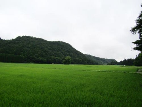 骨寺村荘園遺跡とクシフル