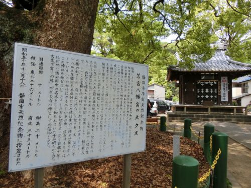 2019/5/5(日) 若宮八幡宮 静岡県