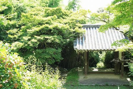 東明寺 奈良県大和郡山市 / はじめてお会いするスマートな薬師如来さまに釘付け!