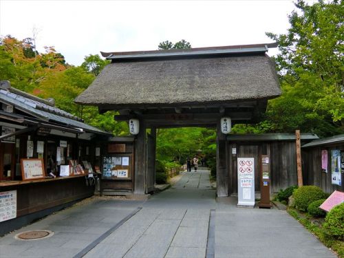 円仁創建、芭蕉の足跡を辿る旅 みちのく四寺回廊(6) 松島・円通院