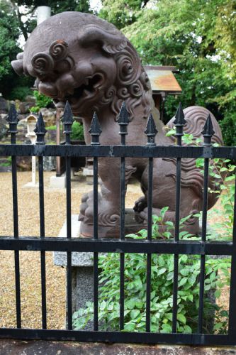 御香宮神社の狛犬達