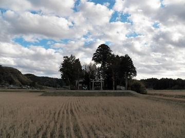 帝釈神社 その1(千葉県夷隅郡大多喜町八声)