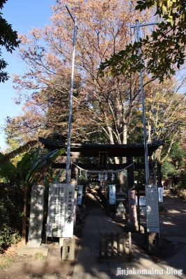 南大沢氷川神社 (東久留米市南沢)