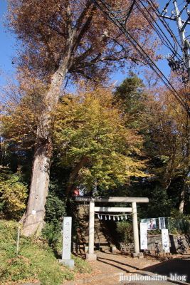 子ノ神社 (東久留米市小山)