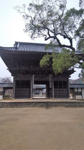 薬壺の朱印が素敵！「周防国分寺」の御朱印　　雨の中「周防国分寺」を参拝（山口県防府市）