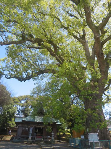 駿河区 伊勢神明社