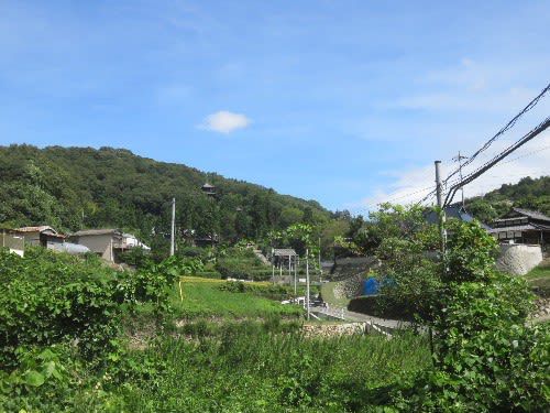 金山観音寺(2019年9月7日参拝)