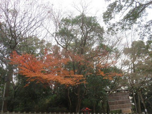 枚岡神社(2019年12月21日参拝)