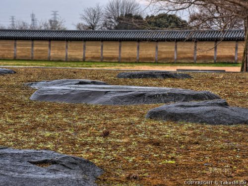 上野国分寺跡 (群馬) 【史跡】