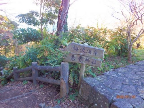 二宮 吾妻神社を参拝