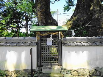 藤白（ふじしろ）神社　その4