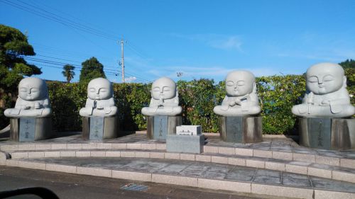 【福井】猫好きには堪らない♪福井の猫寺「御誕生寺」の御朱印帳&御朱印