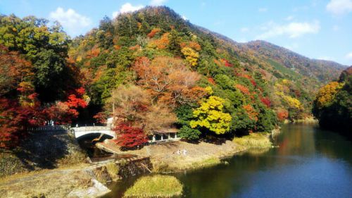 瑞石山 永源寺(東近江)