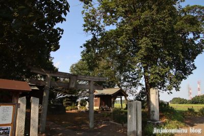星宮神社　下都賀郡野木町大字潤島