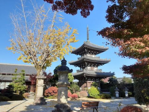 *村ちゃんの歴史ぶらり旅! *明蔵寺&三重塔!(稲沢市浅井町)