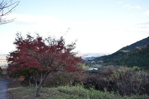 行基寺(2020年11月28日参拝)