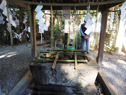 座間市座間 座間神社を参拝 2