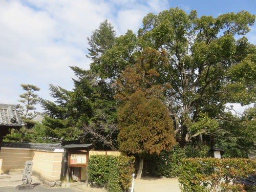 法輪寺(2021年2月28日参拝)