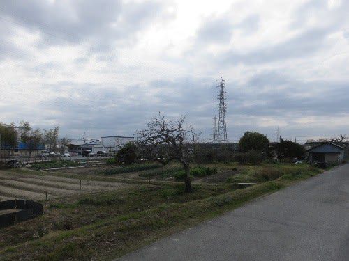 額安寺(2021年2月28日参拝)