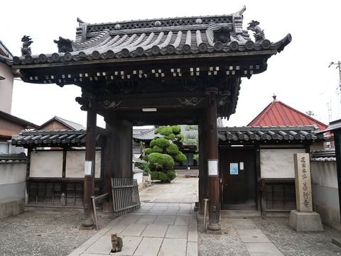 善行寺、本願寺、慈徳院、宗派の違いを感じる参拝(鞆の浦古寺めぐり)【広島県福山市】