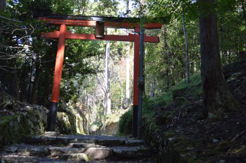 神社左0247　大原　勝手神社