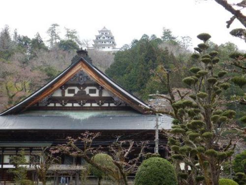 安養寺(岐阜県郡上市八幡町柳町)