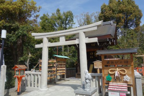 ▼八坂神社-大国主社・北向蛭子社▼