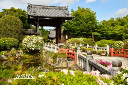 妙満寺