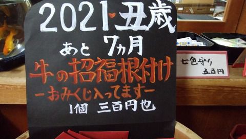 【岩屋寺日記】 出来るでしょうか・・・
