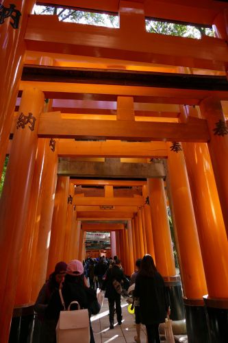 大酒神社(太秦)・秦の始皇帝と秦氏