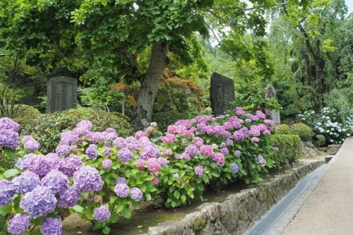 長谷寺(1)