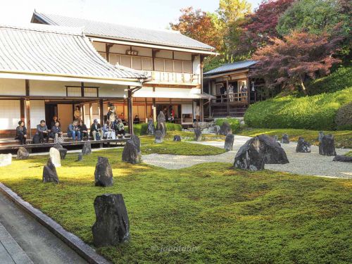【京都 光明院の紅葉2021年版】虹の苔寺の秋!波心の庭の紅葉は必見!見頃や見どころを解説!