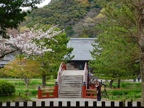 金沢八景・称名寺◆境内散歩（その２）◆称名寺庭園～阿字ケ池・反橋/平橋～北条顕時/貞顕墓所等