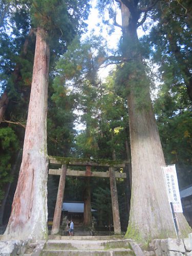 奈良開運ツアー ☆彡 龍様と蛇様と。 part.4 龍穴神社