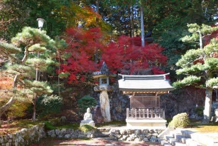 東光寺の紅葉2021