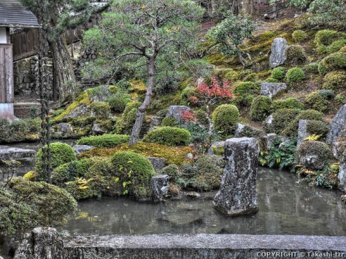 延暦寺坂本里坊庭園 (滋賀) 【名勝】