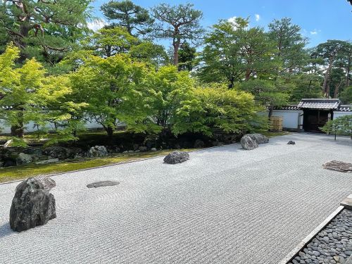 相国寺開山堂前庭の新緑
