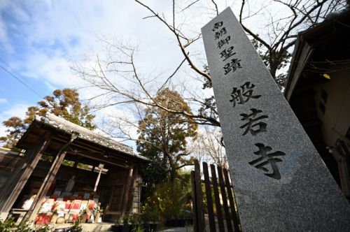 般若寺の水仙